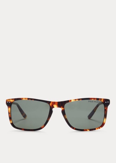 Gafas De Sol Polo Ralph Lauren Hombre Azules / Leopardo - Metal Temple - SIAHV0736